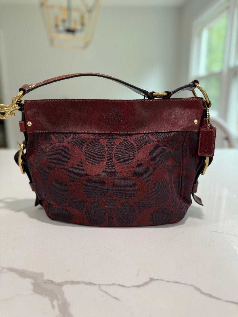 Coach Signature Zoe Hobo Shoulder Bag